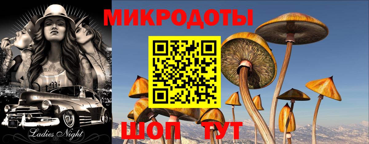 Галлюциногенные грибы Cubensis  Галлюциногенные грибы Psilocybine cubensis  Вход с VPN  Тольятти 